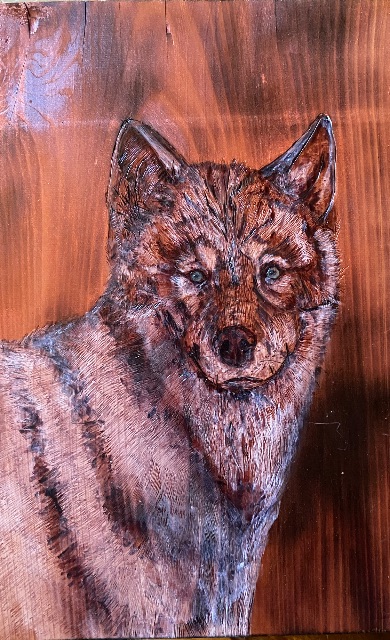 Wolf wood burning on cedar